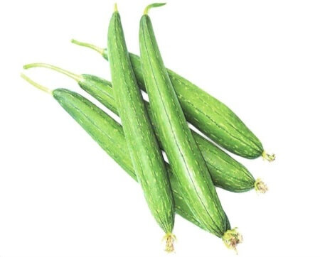 Dhundhul (Sponge Gourd) ±20 gm