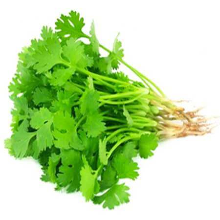 Coriander Leaves (Dhoniya Pata)