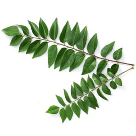 Curry leaves