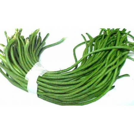 Long Bean ( Borboti )