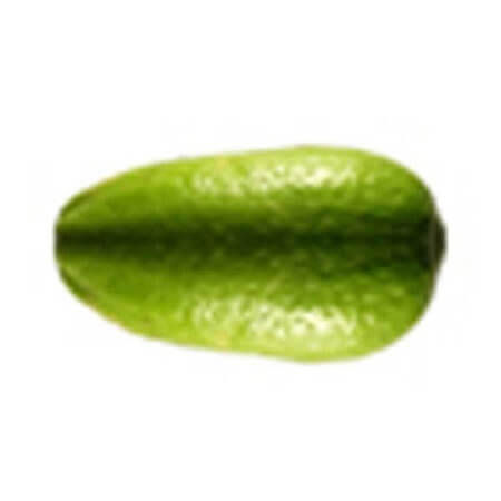 Long Big Lemon 4 pcs