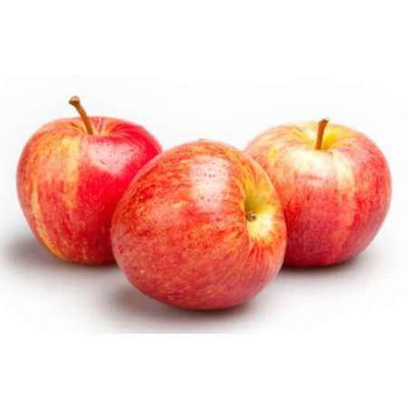 Gala Apple